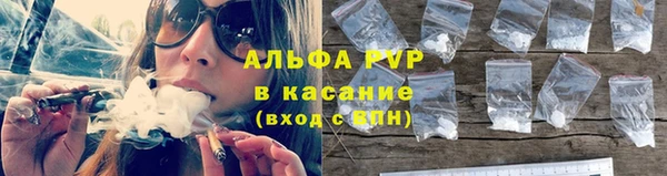 гашик Медногорск