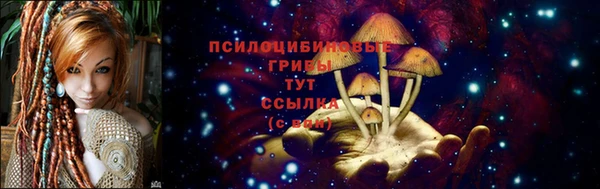 гашик Медногорск