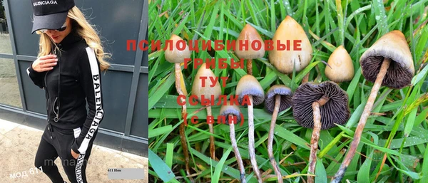 МДПВ Медвежьегорск