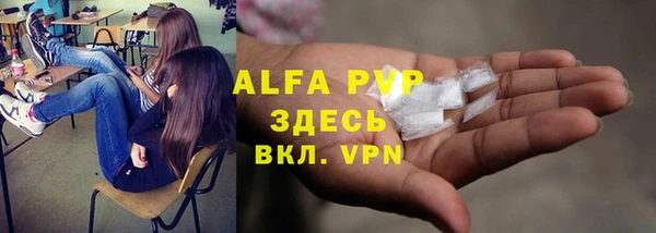 гашик Медногорск