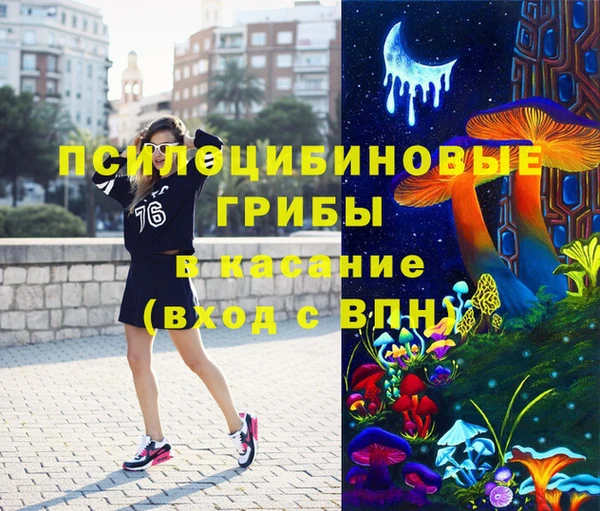 МДПВ Медвежьегорск