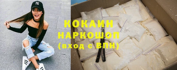 гашик Медногорск