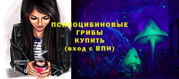 герыч Мегион